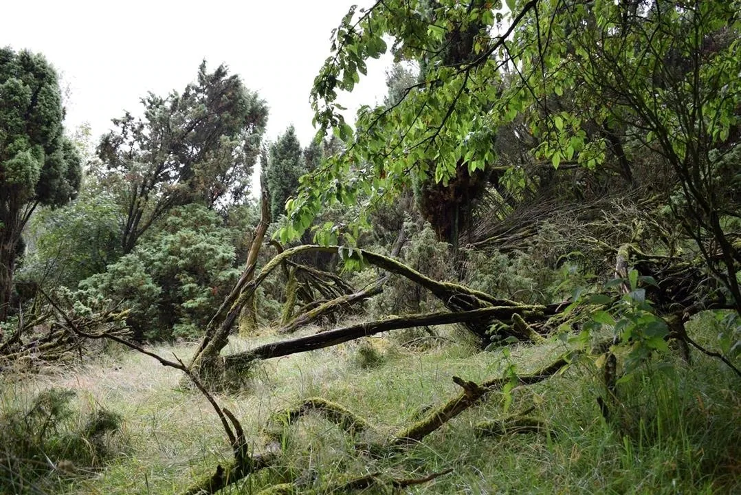 G21.4 bramslev bakker restaurant lunch fri 21 jul (19)